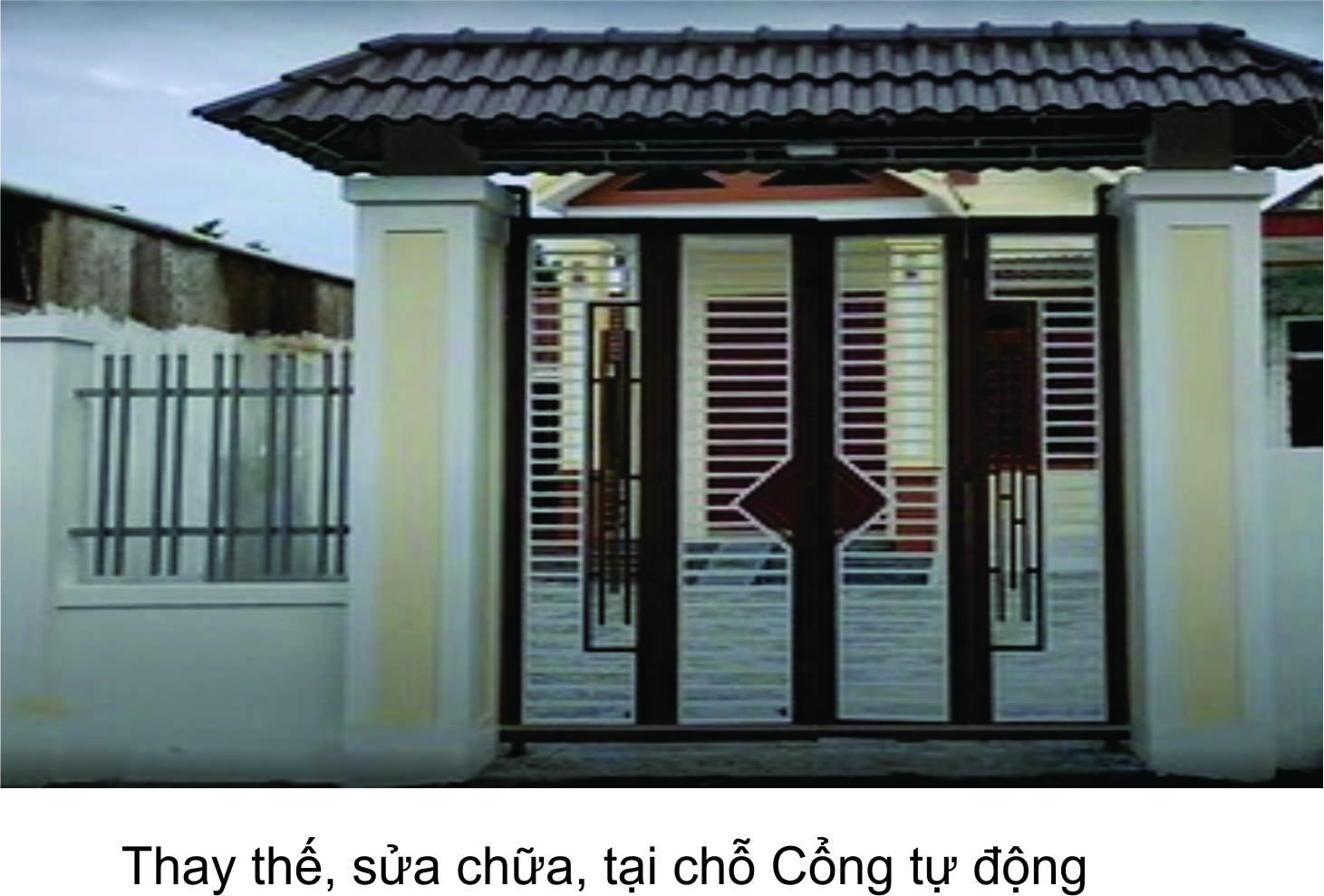 cỏng1